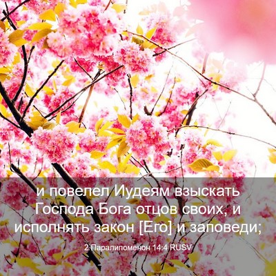 Picture 03 - 2 Паралипоменон 14:4 RUSV - и повелел Иудеям взыскать - Bible Verse Picture