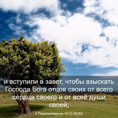 Picture 03 - 2 Паралипоменон 15:12 RUSV - и вступили в завет, чтобы - Bible Verse Picture