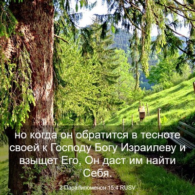 Picture 03 - 2 Паралипоменон 15:4 RUSV - но когда он обратится в - Bible Verse Picture