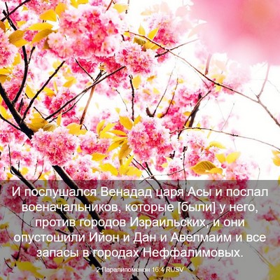 Picture 03 - 2 Паралипоменон 16:4 RUSV - И послушался Венадад царя - Bible Verse Picture