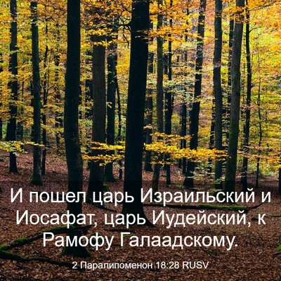 Picture 03 - 2 Паралипоменон 18:28 RUSV - И пошел царь Израильский и - Bible Verse Picture