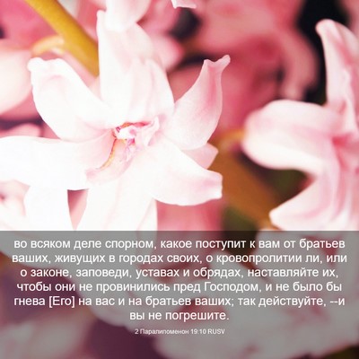 Picture 03 - 2 Паралипоменон 19:10 RUSV - во всяком деле спорном, - Bible Verse Picture