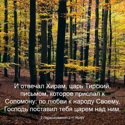 Picture 03 - 2 Паралипоменон 2:11 RUSV - И отвечал Хирам, царь - Bible Verse Picture
