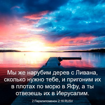 Picture 03 - 2 Паралипоменон 2:16 RUSV - Мы же нарубим дерев с - Bible Verse Picture