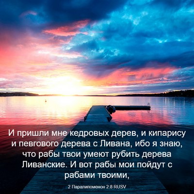 Picture 03 - 2 Паралипоменон 2:8 RUSV - И пришли мне кедровых - Bible Verse Picture