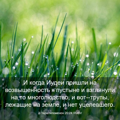 Picture 03 - 2 Паралипоменон 20:24 RUSV - И когда Иудеи пришли на - Bible Verse Picture
