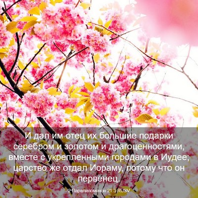 Picture 03 - 2 Паралипоменон 21:3 RUSV - И дал им отец их большие - Bible Verse Picture