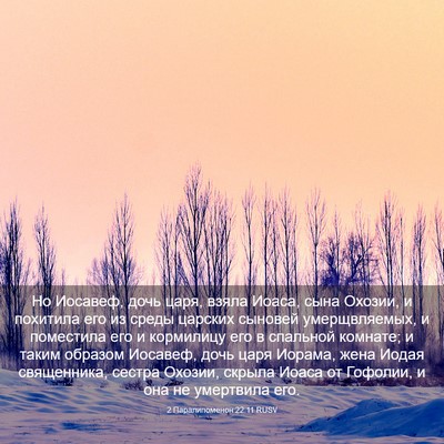 Picture 03 - 2 Паралипоменон 22:11 RUSV - Но Иосавеф, дочь царя, - Bible Verse Picture