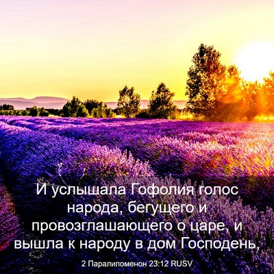 Picture 03 - 2 Паралипоменон 23:12 RUSV - И услышала Гофолия голос - Bible Verse Picture