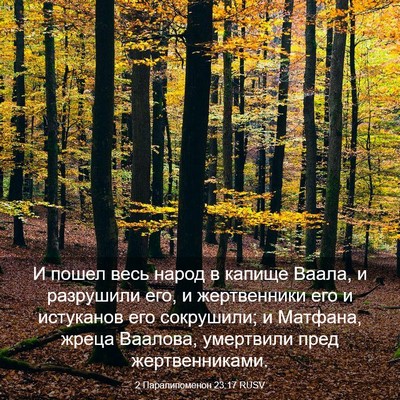 Picture 03 - 2 Паралипоменон 23:17 RUSV - И пошел весь народ в капище - Bible Verse Picture