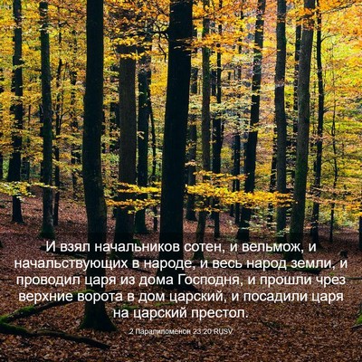 Picture 03 - 2 Паралипоменон 23:20 RUSV - И взял начальников сотен, и - Bible Verse Picture