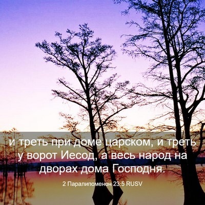 Picture 03 - 2 Паралипоменон 23:5 RUSV - и треть при доме царском, и - Bible Verse Picture