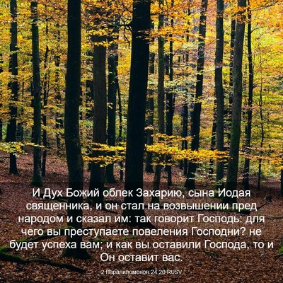 Picture 03 - 2 Паралипоменон 24:20 RUSV - И Дух Божий облек Захарию, - Bible Verse Picture