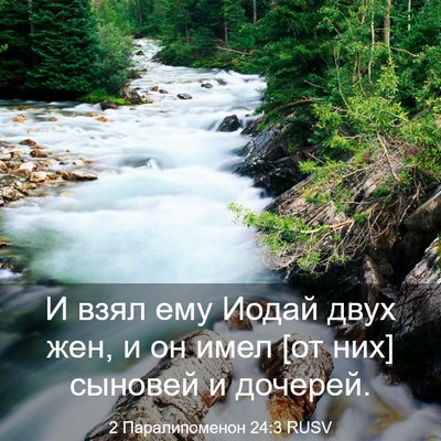 Picture 03 - 2 Паралипоменон 24:3 RUSV - И взял ему Иодай двух жен, и - Bible Verse Picture