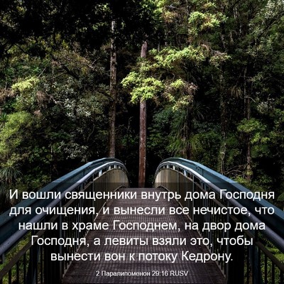 Picture 03 - 2 Паралипоменон 29:16 RUSV - И вошли священники внутрь - Bible Verse Picture