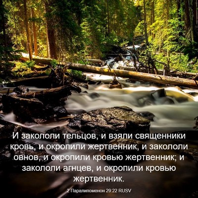 Picture 03 - 2 Паралипоменон 29:22 RUSV - И закололи тельцов, и взяли - Bible Verse Picture
