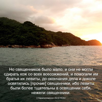 Picture 03 - 2 Паралипоменон 29:34 RUSV - Но священников было мало, и - Bible Verse Picture