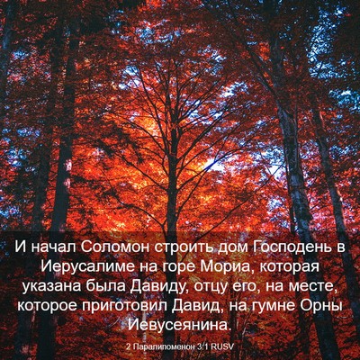 Picture 03 - 2 Паралипоменон 3:1 RUSV - И начал Соломон строить - Bible Verse Picture