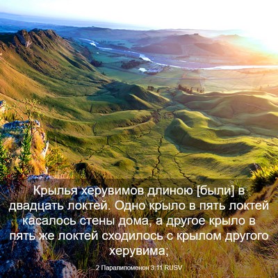 Picture 03 - 2 Паралипоменон 3:11 RUSV - Крылья херувимов длиною - Bible Verse Picture