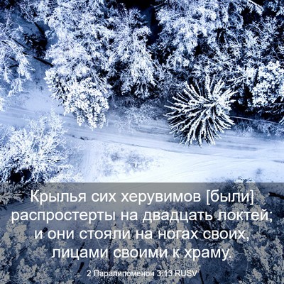 Picture 03 - 2 Паралипоменон 3:13 RUSV - Крылья сих херувимов [были] - Bible Verse Picture