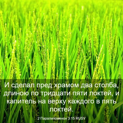 Picture 03 - 2 Паралипоменон 3:15 RUSV - И сделал пред храмом два - Bible Verse Picture