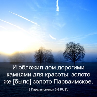 Picture 03 - 2 Паралипоменон 3:6 RUSV - И обложил дом дорогими - Bible Verse Picture