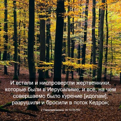 Picture 03 - 2 Паралипоменон 30:14 RUSV - И встали и ниспровергли - Bible Verse Picture