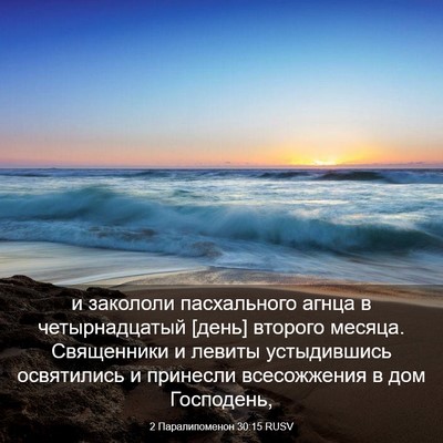 Picture 03 - 2 Паралипоменон 30:15 RUSV - и закололи пасхального - Bible Verse Picture