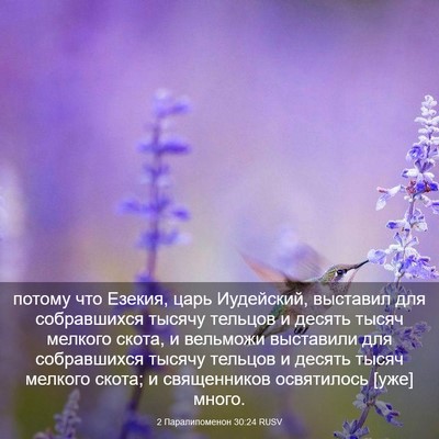 Picture 03 - 2 Паралипоменон 30:24 RUSV - потому что Езекия, царь - Bible Verse Picture