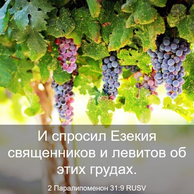 Picture 03 - 2 Паралипоменон 31:9 RUSV - И спросил Езекия - Bible Verse Picture
