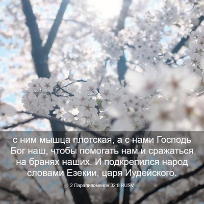 Picture 03 - 2 Паралипоменон 32:8 RUSV - с ним мышца плотская, а с - Bible Verse Picture