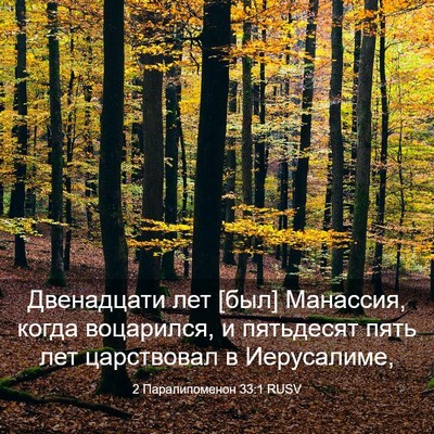 Picture 03 - 2 Паралипоменон 33:1 RUSV - Двенадцати лет [был] - Bible Verse Picture