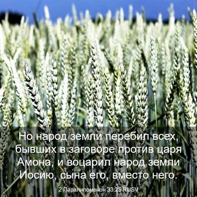 Picture 03 - 2 Паралипоменон 33:25 RUSV - Но народ земли перебил - Bible Verse Picture
