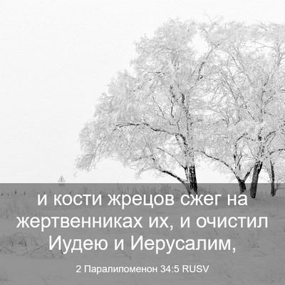 Picture 03 - 2 Паралипоменон 34:5 RUSV - и кости жрецов сжег на - Bible Verse Picture