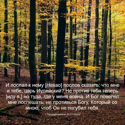 Picture 03 - 2 Паралипоменон 35:21 RUSV - И послал к нему [Нехао] - Bible Verse Picture