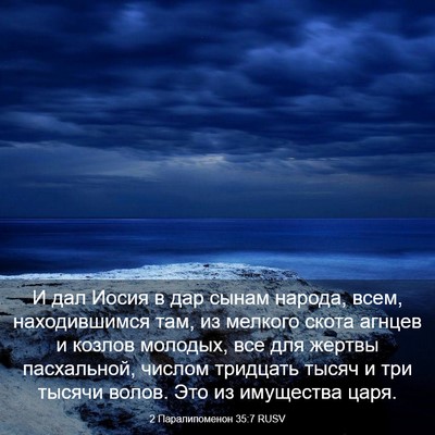 Picture 03 - 2 Паралипоменон 35:7 RUSV - И дал Иосия в дар сынам - Bible Verse Picture