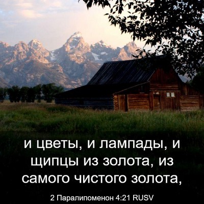 Picture 03 - 2 Паралипоменон 4:21 RUSV - и цветы, и лампады, и щипцы - Bible Verse Picture
