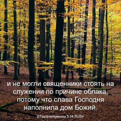 Picture 03 - 2 Паралипоменон 5:14 RUSV - и не могли священники - Bible Verse Picture