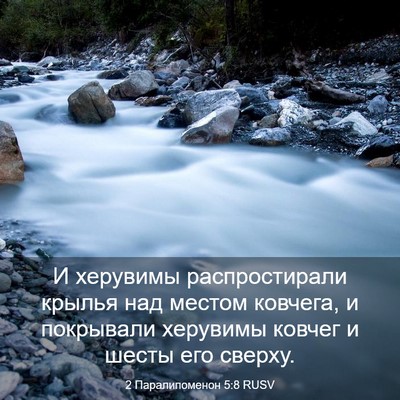 Picture 03 - 2 Паралипоменон 5:8 RUSV - И херувимы распростирали - Bible Verse Picture