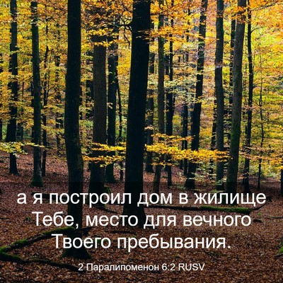 Picture 03 - 2 Паралипоменон 6:2 RUSV - а я построил дом в жилище - Bible Verse Picture