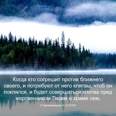 Picture 03 - 2 Паралипоменон 6:22 RUSV - Когда кто согрешит против - Bible Verse Picture
