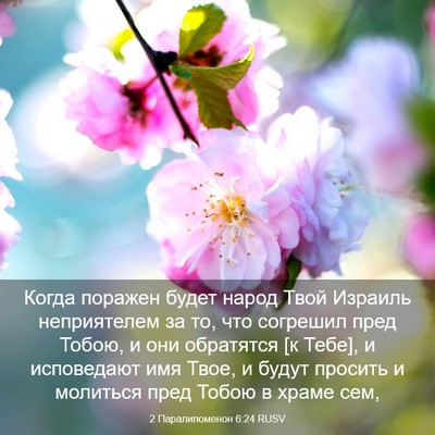 Picture 03 - 2 Паралипоменон 6:24 RUSV - Когда поражен будет народ - Bible Verse Picture