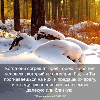 Picture 03 - 2 Паралипоменон 6:36 RUSV - Когда они согрешат пред - Bible Verse Picture