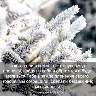 Picture 03 - 2 Паралипоменон 6:37 RUSV - и когда они в земле, в - Bible Verse Picture