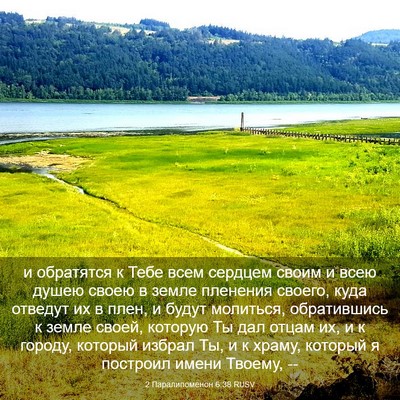 Picture 03 - 2 Паралипоменон 6:38 RUSV - и обратятся к Тебе всем - Bible Verse Picture