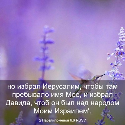 Picture 03 - 2 Паралипоменон 6:6 RUSV - но избрал Иерусалим, чтобы - Bible Verse Picture