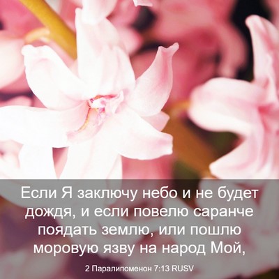 Picture 03 - 2 Паралипоменон 7:13 RUSV - Если Я заключу небо и не - Bible Verse Picture