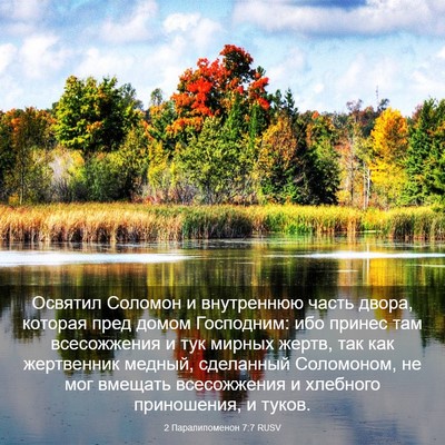 Picture 03 - 2 Паралипоменон 7:7 RUSV - Освятил Соломон и - Bible Verse Picture