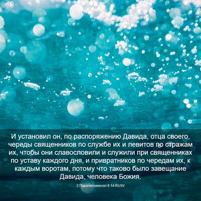 Picture 03 - 2 Паралипоменон 8:14 RUSV - И установил он, по - Bible Verse Picture