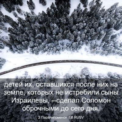 Picture 03 - 2 Паралипоменон 8:8 RUSV - детей их, оставшихся после - Bible Verse Picture